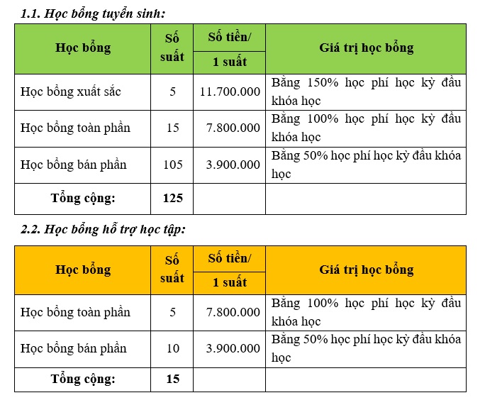 cá cược thể thao hul city